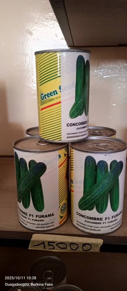 Concombre 
